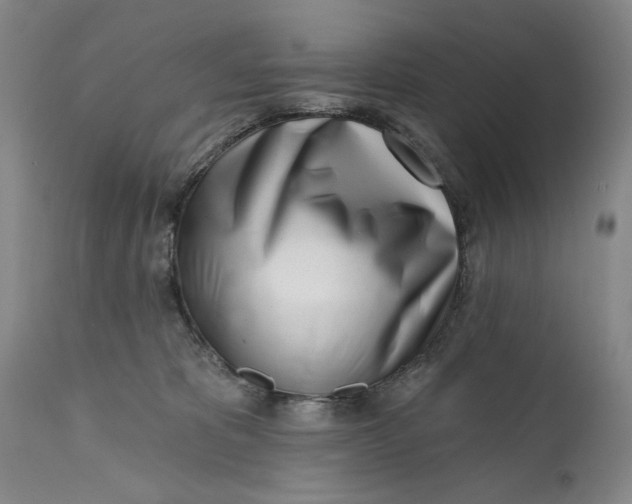 X0000113200325200910011302