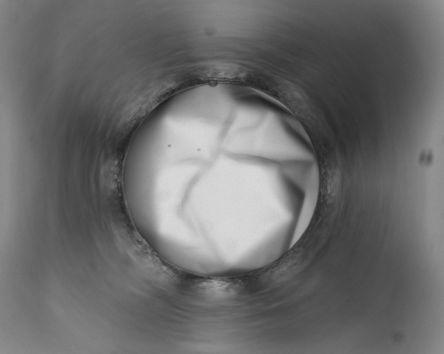 X0000113200326200910011302