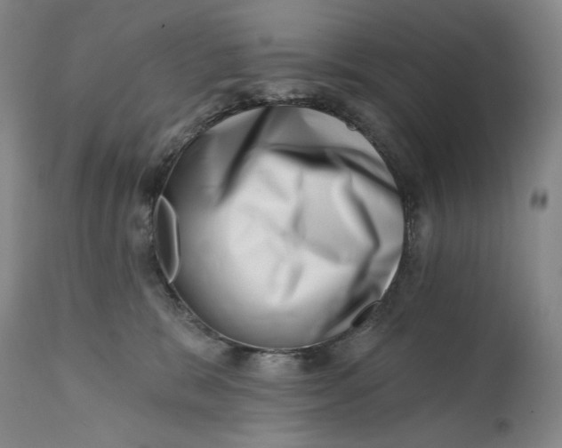 X0000113200327200910011302