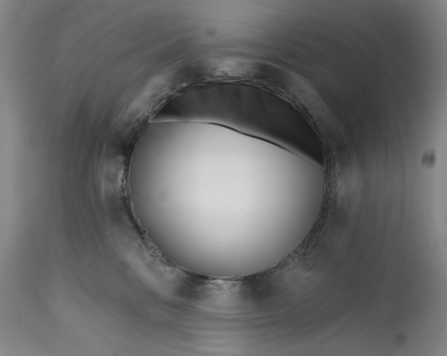 X0000113200328200910011302