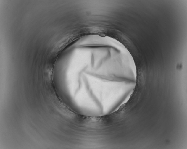 X0000113200329200910011302