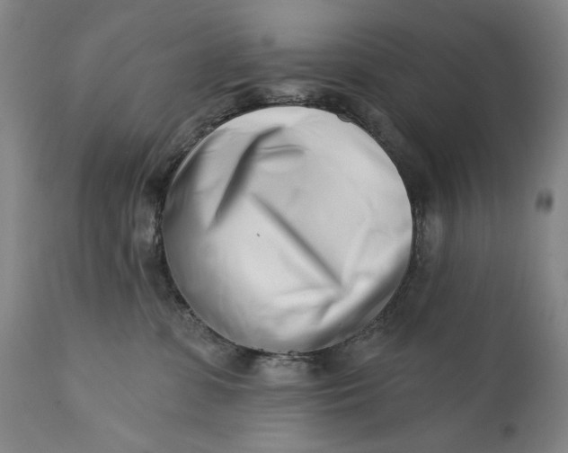 X0000113200331200910011302