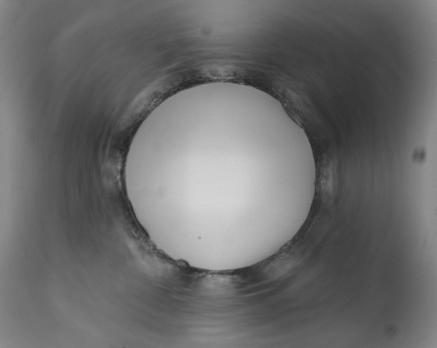 X0000113200332200910011302