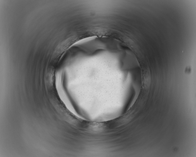 X0000113200334200910011302