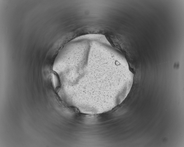 X0000113200335200910011302