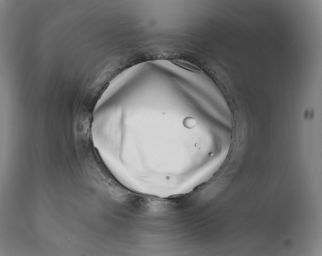 X0000113200336200910011302