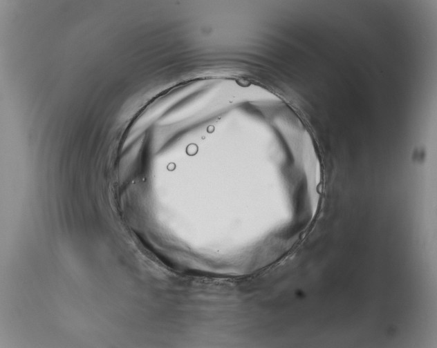 X0000113200337200910011301