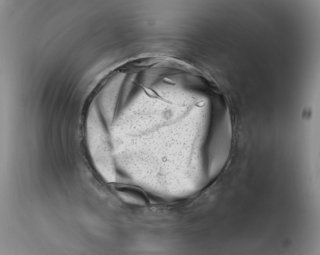 X0000113200338200910011301