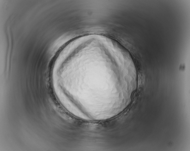 X0000113200339200910011301