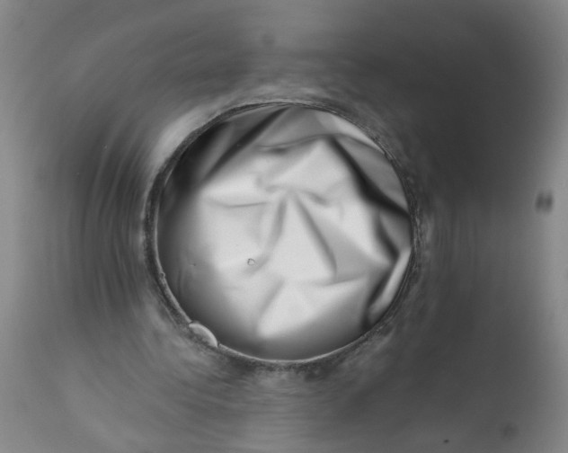 X0000113200340200910011301