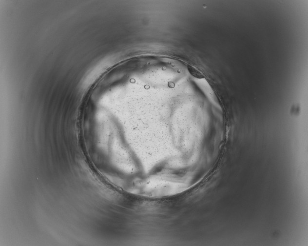 X0000113200341200910011301