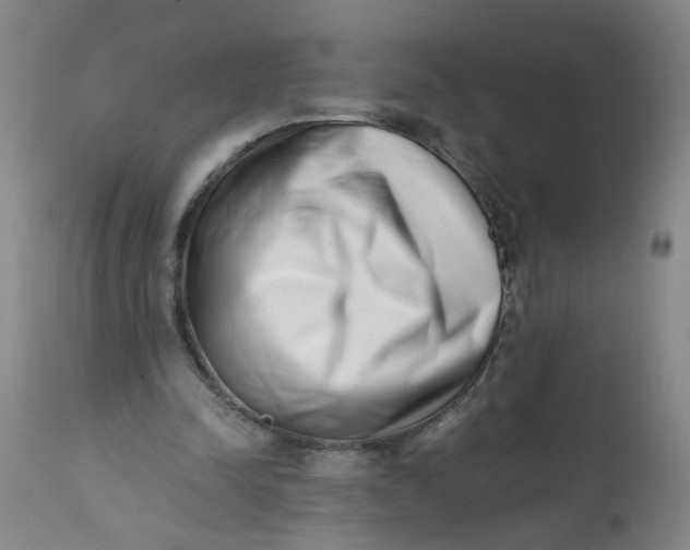 X0000113200342200910011301