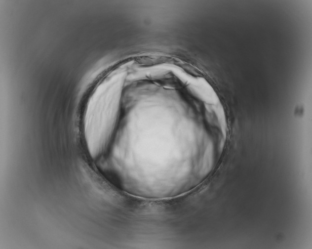 X0000113200343200910011301