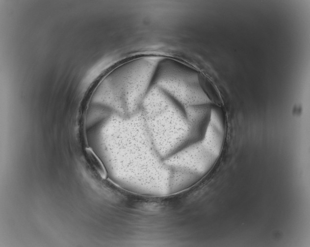 X0000113200344200910011301