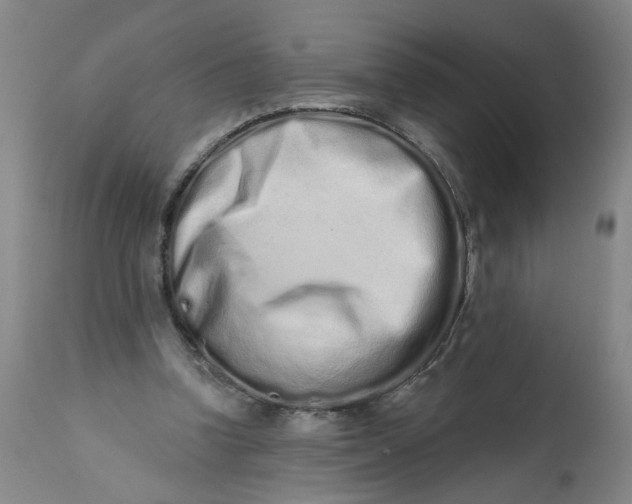 X0000113200346200910011301