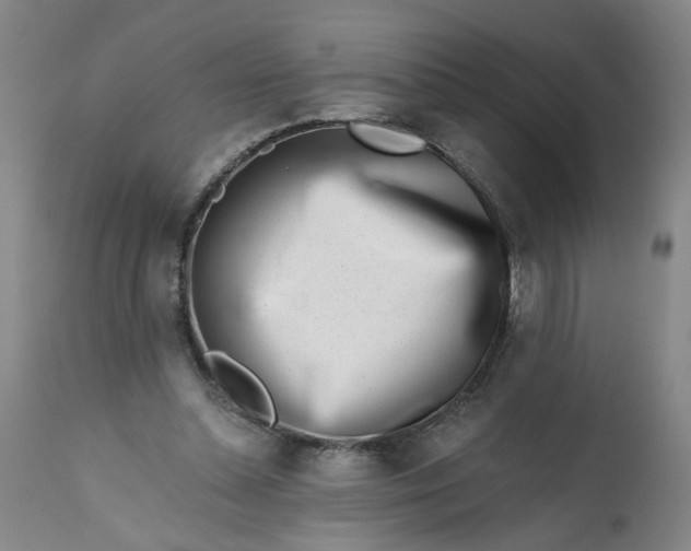 X0000113200348200910011301