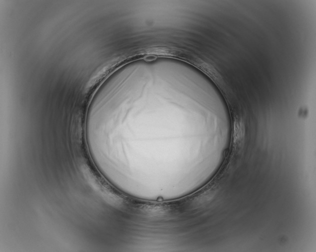 X0000113200349200910011301