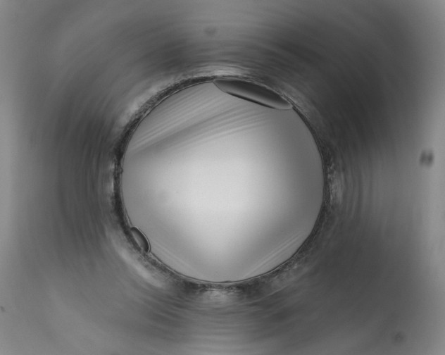 X0000113200350200910011301