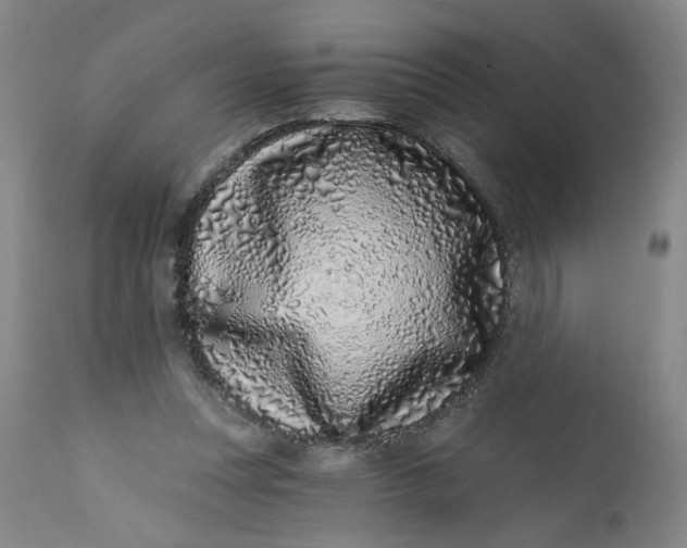 X0000113200351200910011301