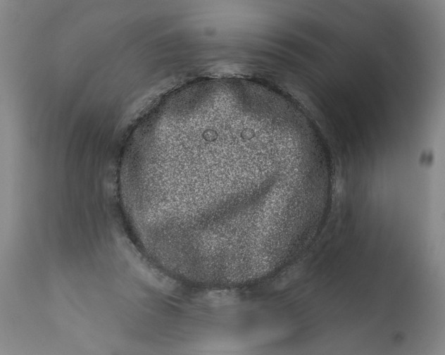 X0000113200353200910011301