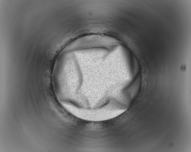 X0000113200354200910011301