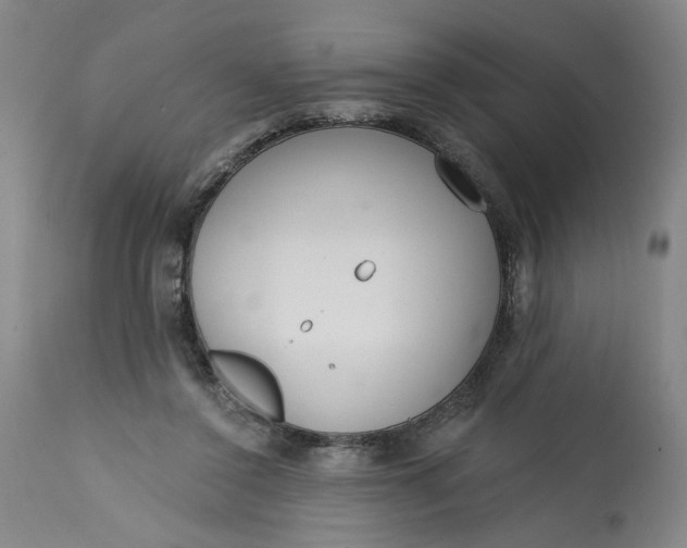 X0000113200356200910011301