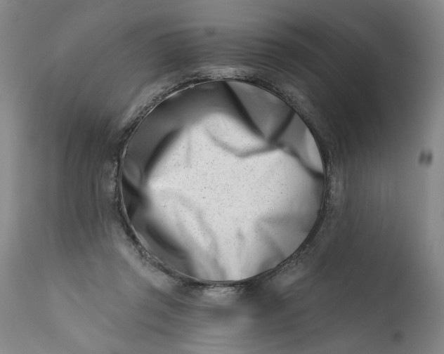 X0000113200357200910011301