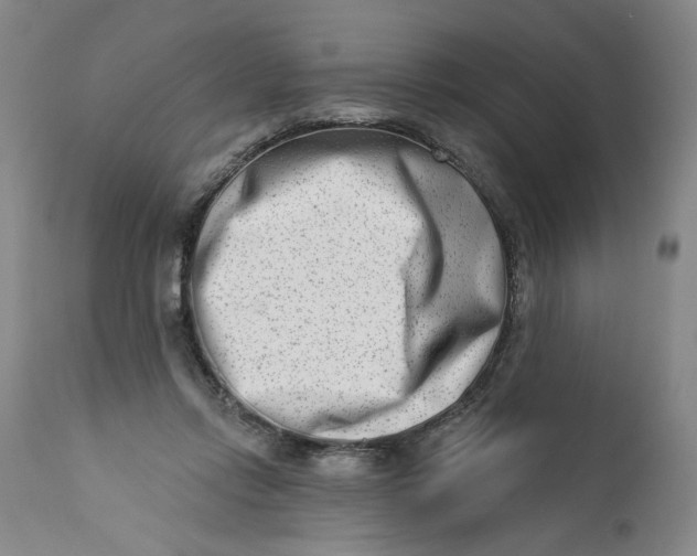 X0000113200358200910011301