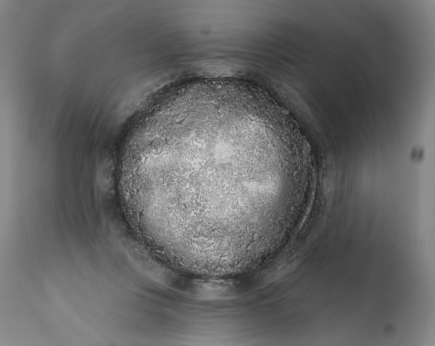 X0000113200359200910011301