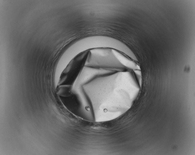 X0000113200360200910011301