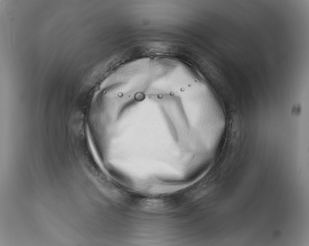 X0000113200361200910011301