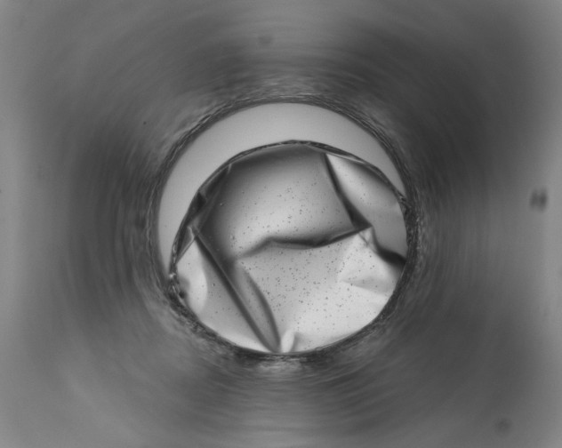 X0000113200362200910011301