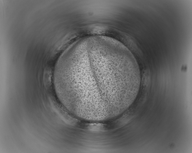 X0000113200363200910011301