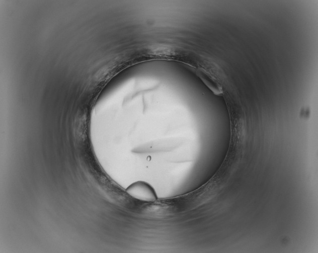 X0000113200364200910011301