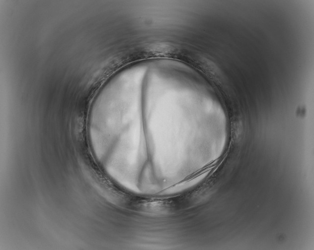 X0000113200365200910011301