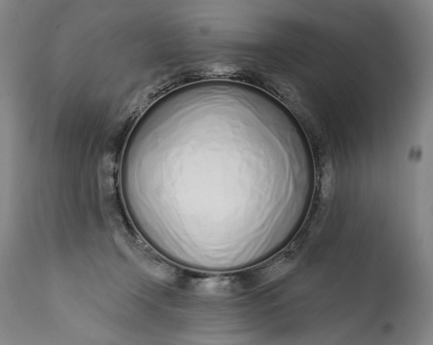 X0000113200366200910011301