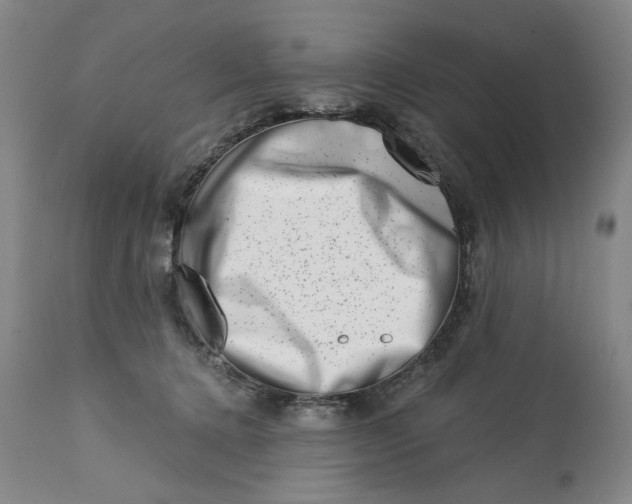 X0000113200368200910011301