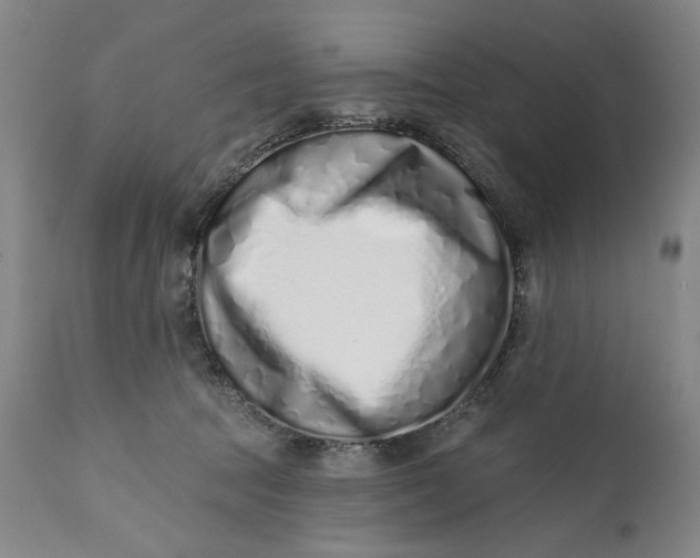 X0000113200369200910011302