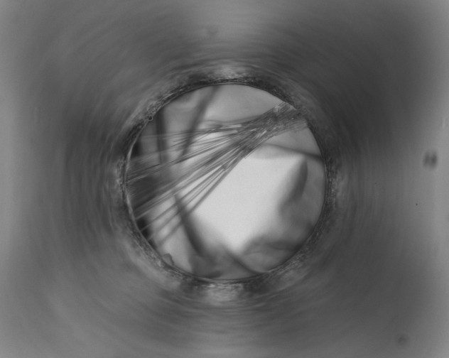 X0000113200373200910011302