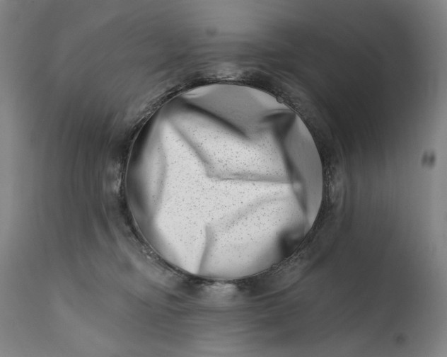 X0000113200374200910011302