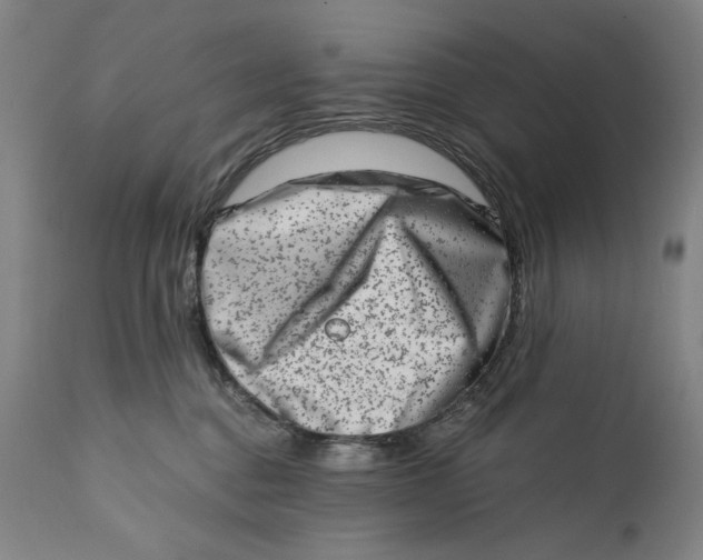 X0000113200376200910011302