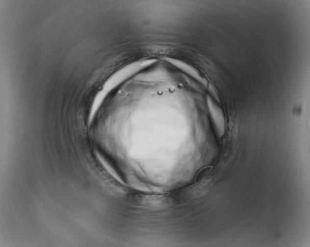 X0000113200377200910011302