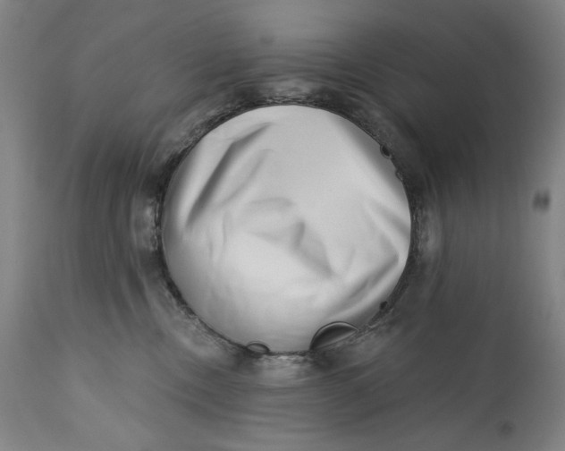 X0000113200378200910011302