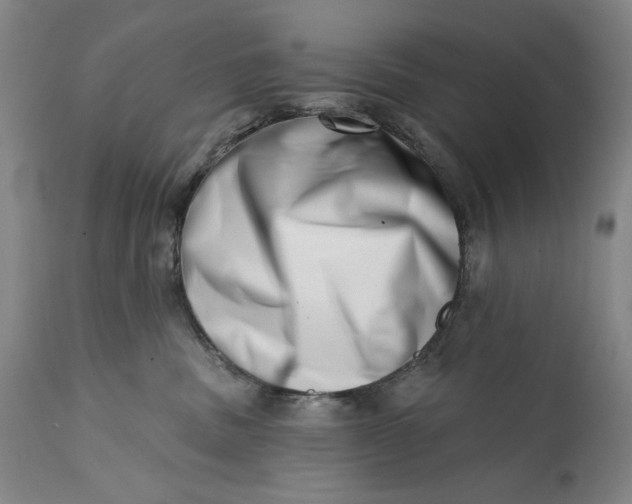 X0000113200379200910011302