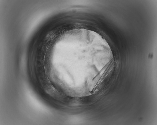 X0000113200381200910011302