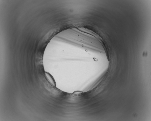 X0000113200384200910011302