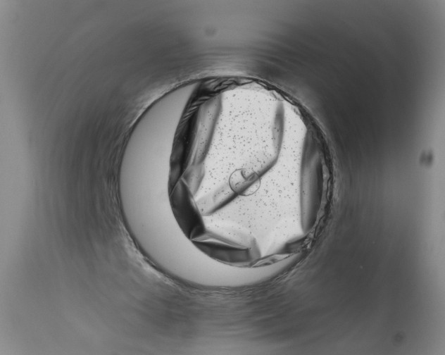 X0000113200385200910011301