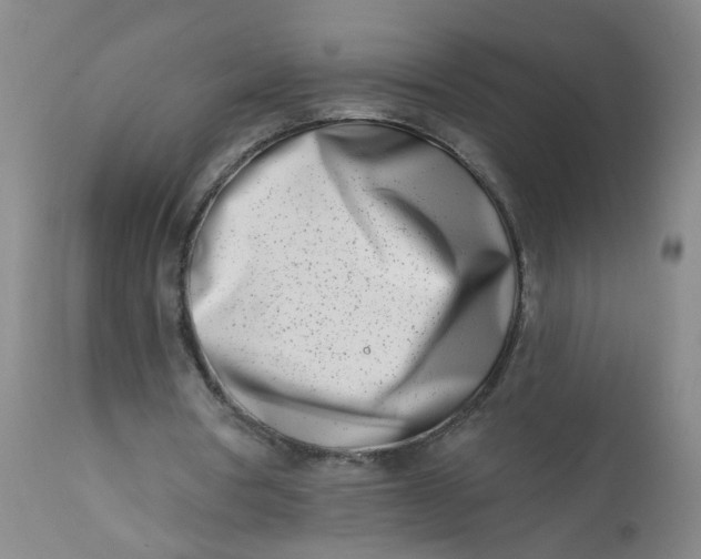 X0000113200386200910011301