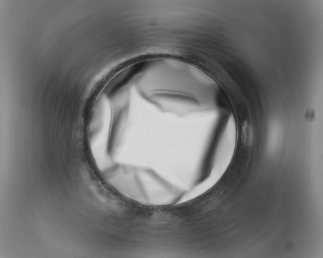 X0000113200388200910011301