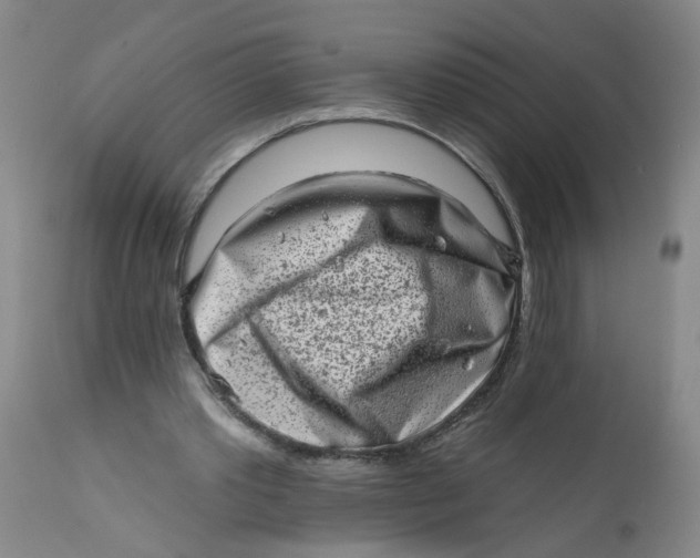 X0000113200389200910011301